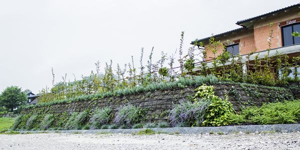 Haslinger CBLOCK GmbH